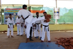 High Range Book of World Records - C.Abishiek Prabhu Smashed 100 Tiles in 1 Min with Jumping Back Kick 8th October 2017