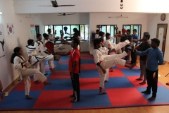 Guinness World Record - Most Full Contact Kicks in One Hour 13th October 2016